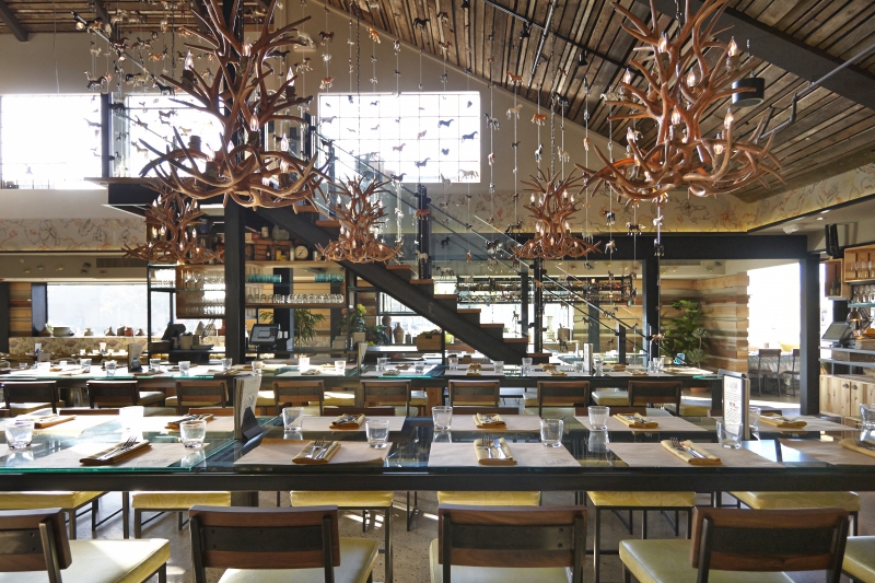 Best Restaurants In Kensington San Diego Best Restaurants In Kensington San Diego