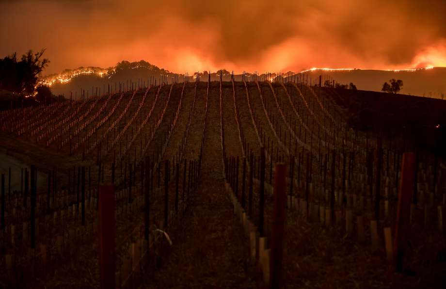 Photo Courtesy Of SF Gate