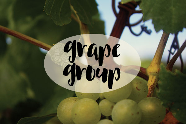 GrapeGroup 600x400