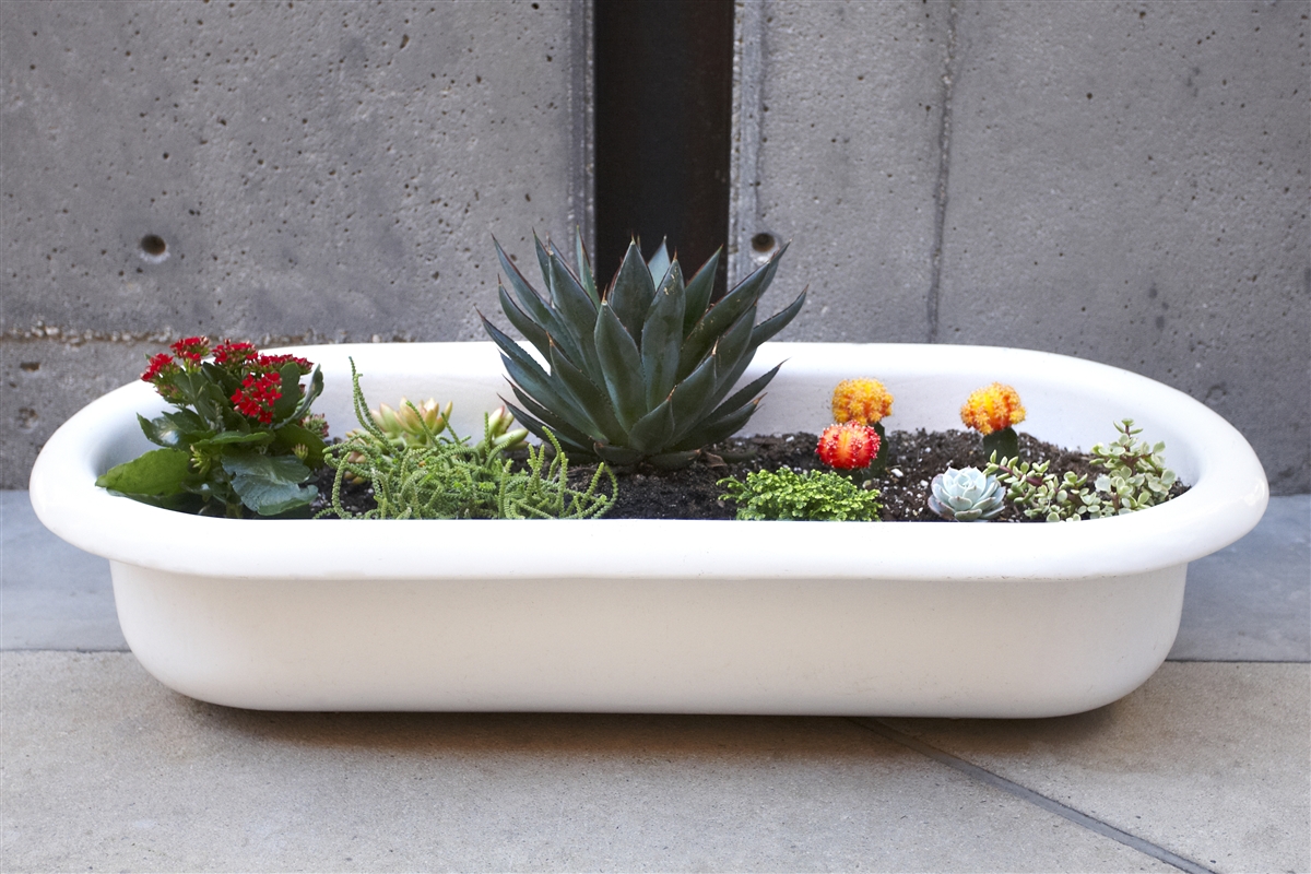 Baby Bath Tub - Urban Kitchen Shop