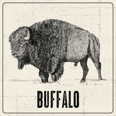 Beast Feast Buffalo | CUCINA urbana