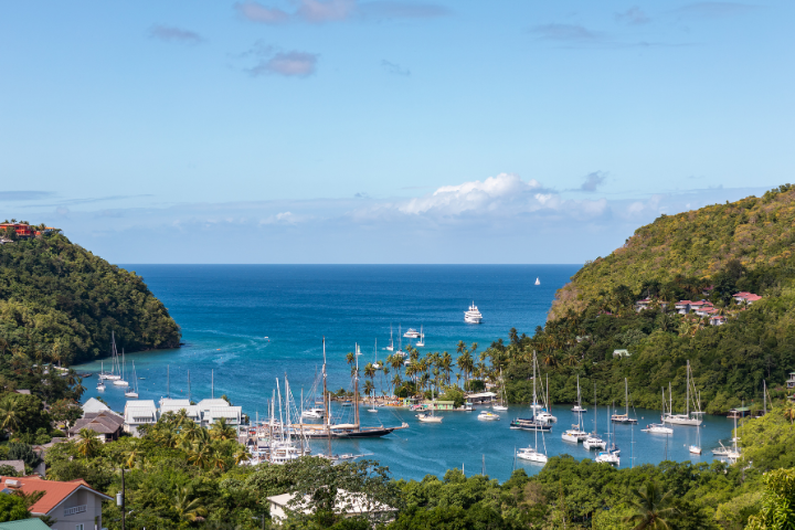 ARTIFACT at Night: West Indies