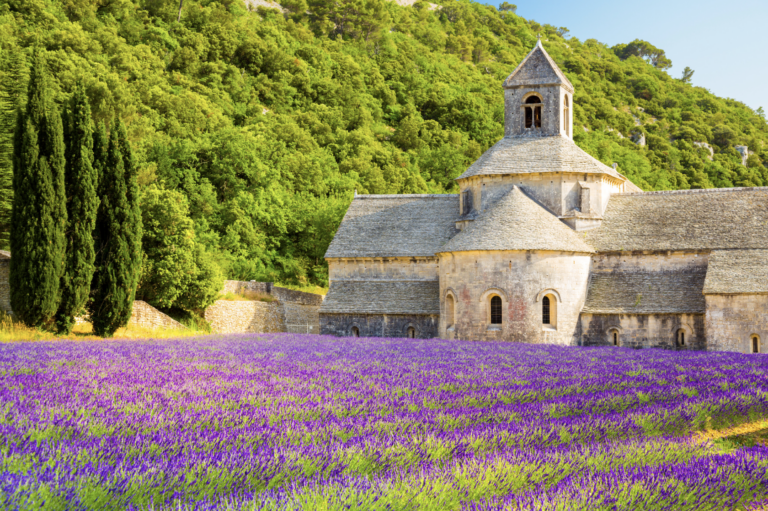 JULY ARTIFACT AT NIGHT: PROVENCE -THURSDAY