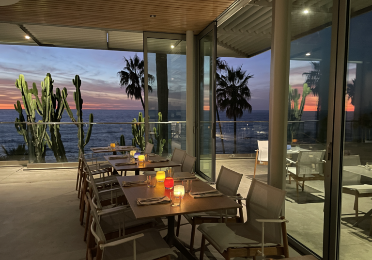 The Study of Roots – The Kitchen @MCASD