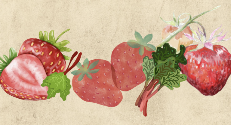 The Study of Strawberry + Rhubarb